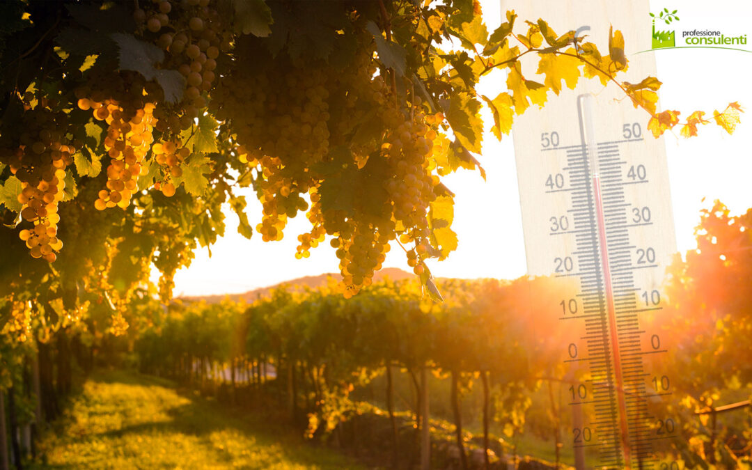 Rischio di calore, prorogata fino al 30 settembre l’ordinanza estiva a tutela dei lavoratori